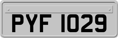 PYF1029