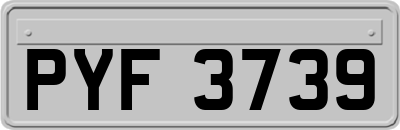 PYF3739