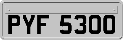 PYF5300