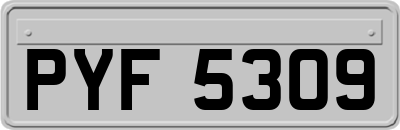 PYF5309