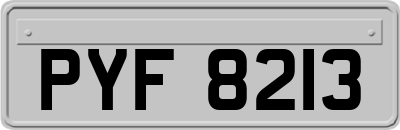 PYF8213