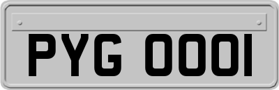 PYG0001