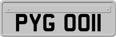 PYG0011