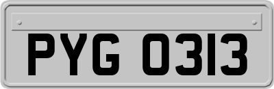 PYG0313