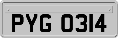 PYG0314