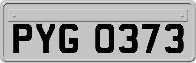 PYG0373