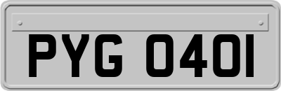 PYG0401