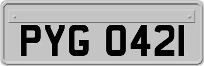 PYG0421