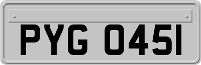 PYG0451