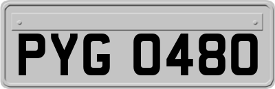 PYG0480