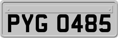 PYG0485