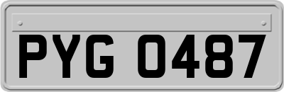 PYG0487