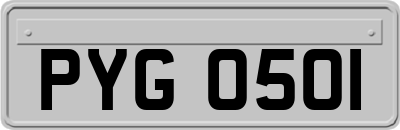 PYG0501