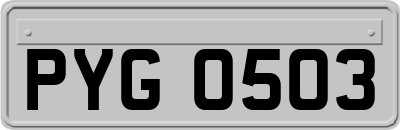 PYG0503