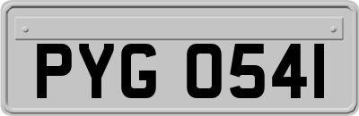 PYG0541