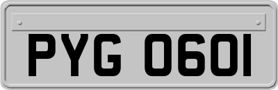 PYG0601