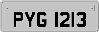 PYG1213