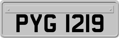 PYG1219