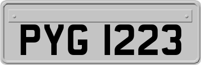 PYG1223