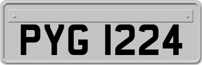 PYG1224