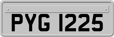 PYG1225