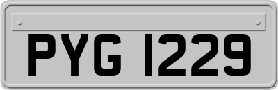 PYG1229