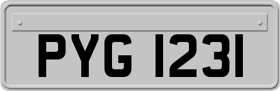 PYG1231