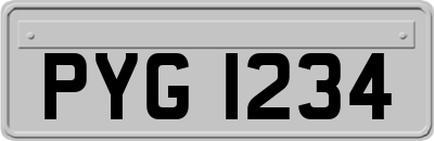 PYG1234