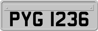 PYG1236