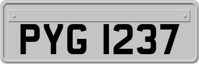 PYG1237