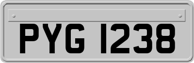 PYG1238