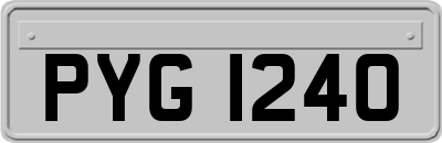 PYG1240