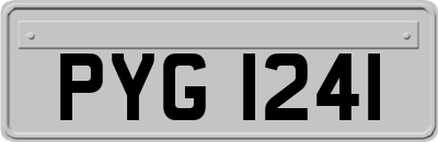 PYG1241