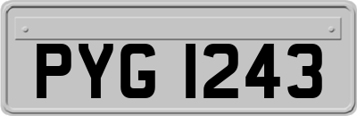 PYG1243