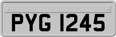 PYG1245