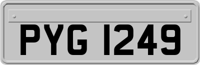 PYG1249