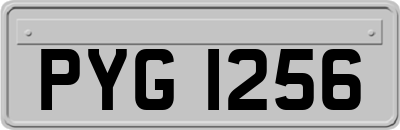 PYG1256