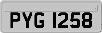 PYG1258