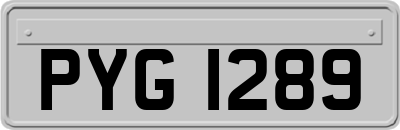 PYG1289