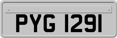 PYG1291