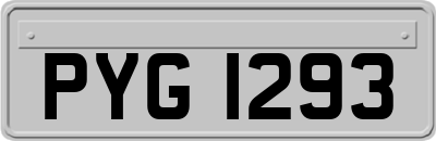 PYG1293