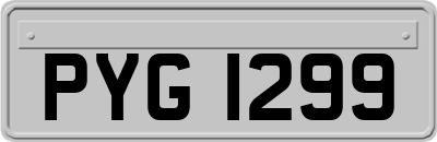 PYG1299