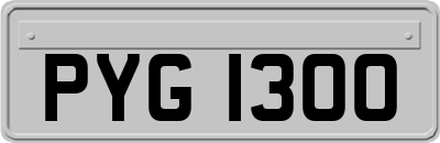 PYG1300