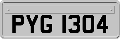 PYG1304