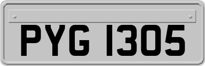 PYG1305