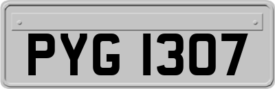 PYG1307