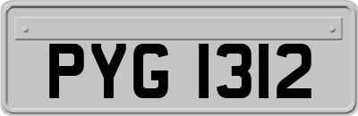 PYG1312