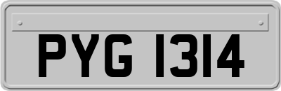 PYG1314