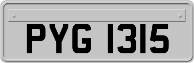 PYG1315