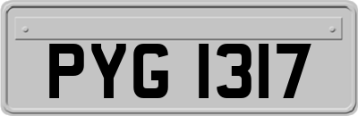 PYG1317